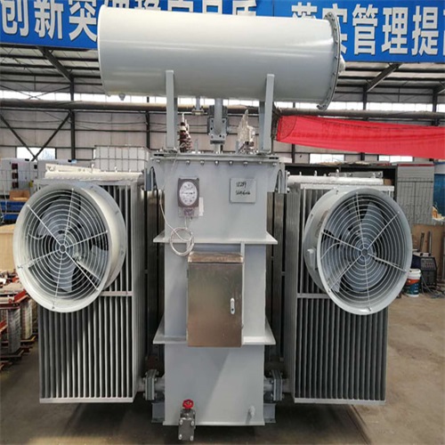 麻栗坡S20-8000KVA变压器